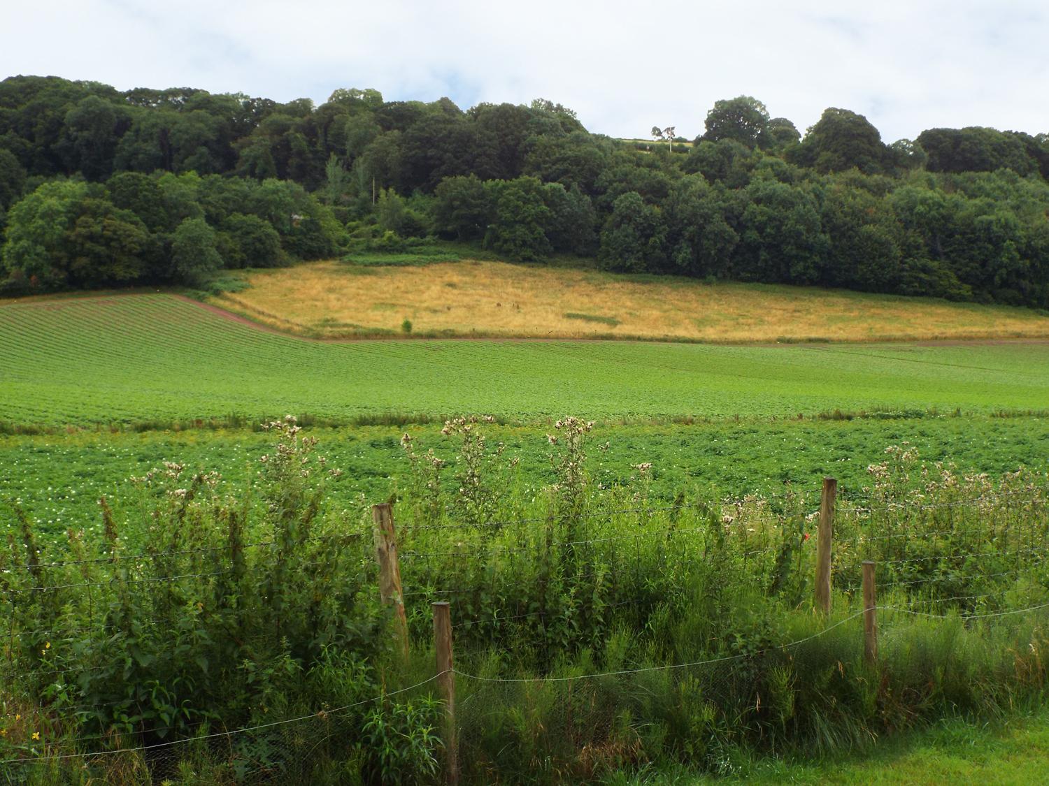 Ross-on-Wye The Granaryヴィラ エクステリア 写真